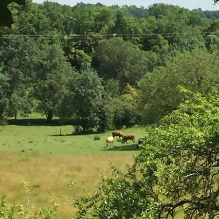 Bourguette * Saint-Paul-Lizonne