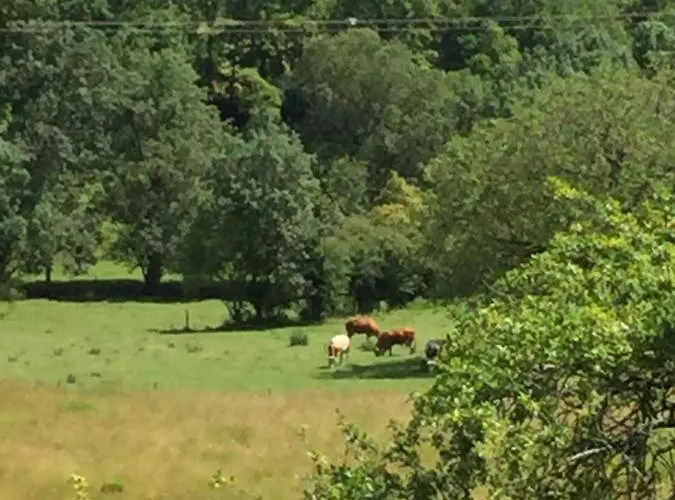 Bourguette * Saint-Paul-Lizonne