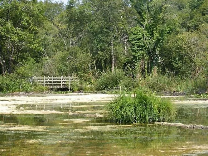 Bourguette Saint-Paul-Lizonne
